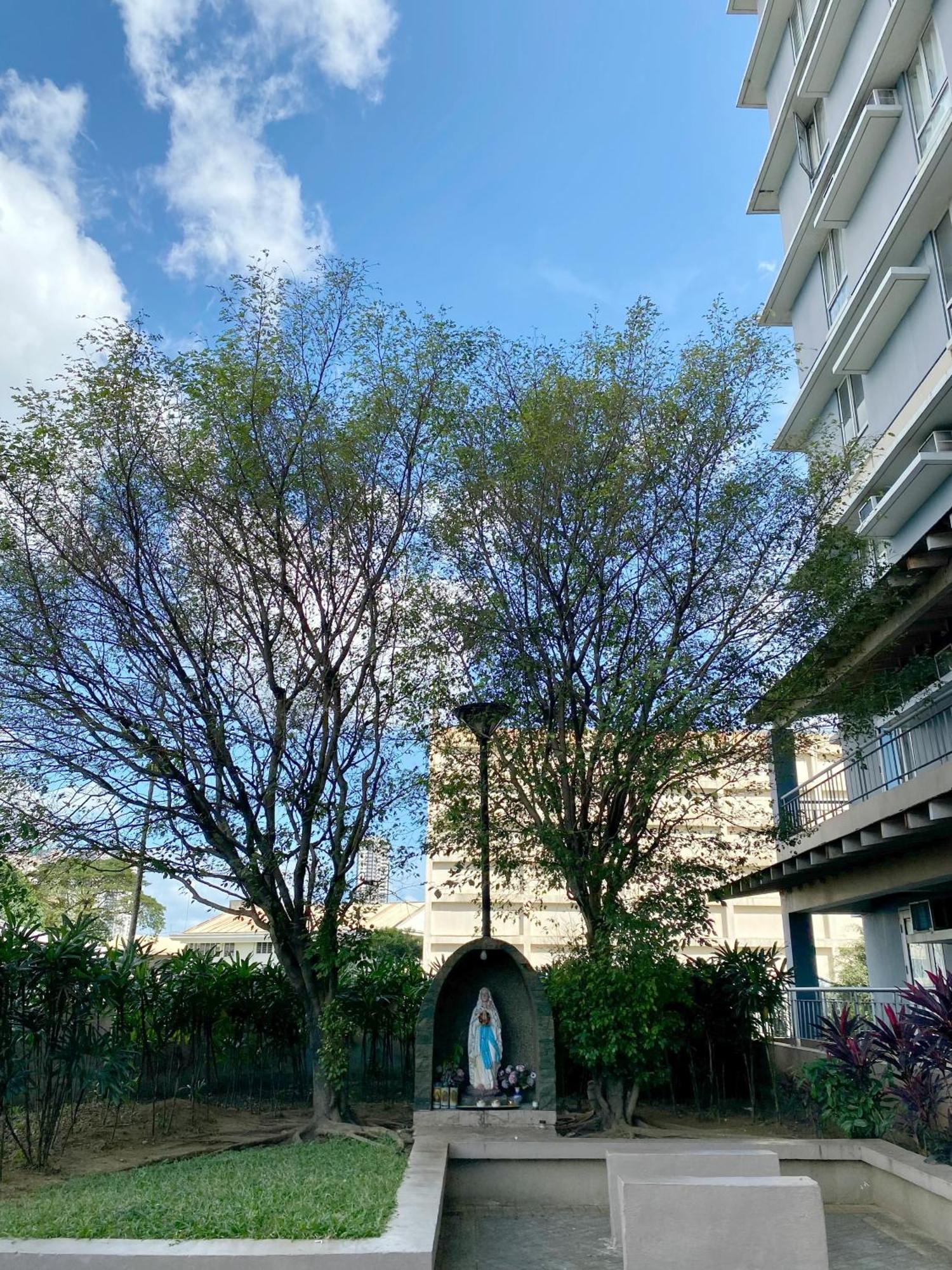 Avida Towers New Manila Near Crame, Cubao And Greenhills Quezon City Zewnętrze zdjęcie